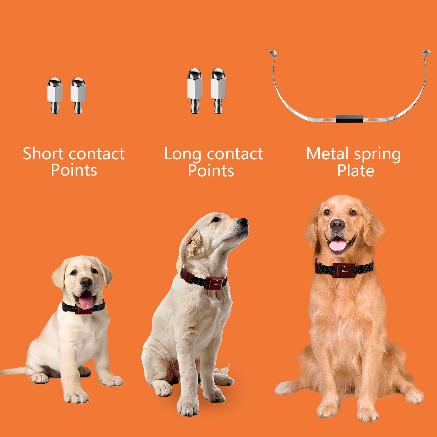 Zlolen 628 Dog Training Collar